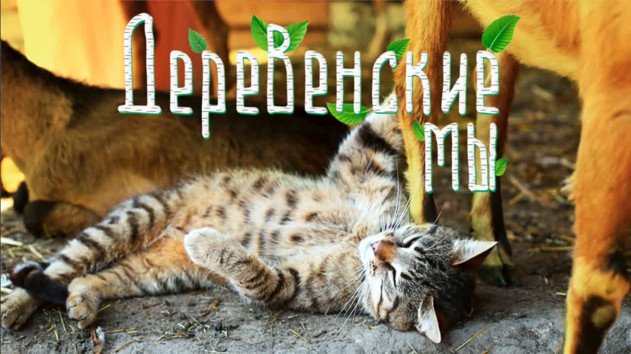 Деревенские мы!