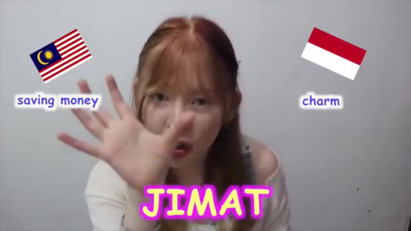 indonesian vs. malaysian