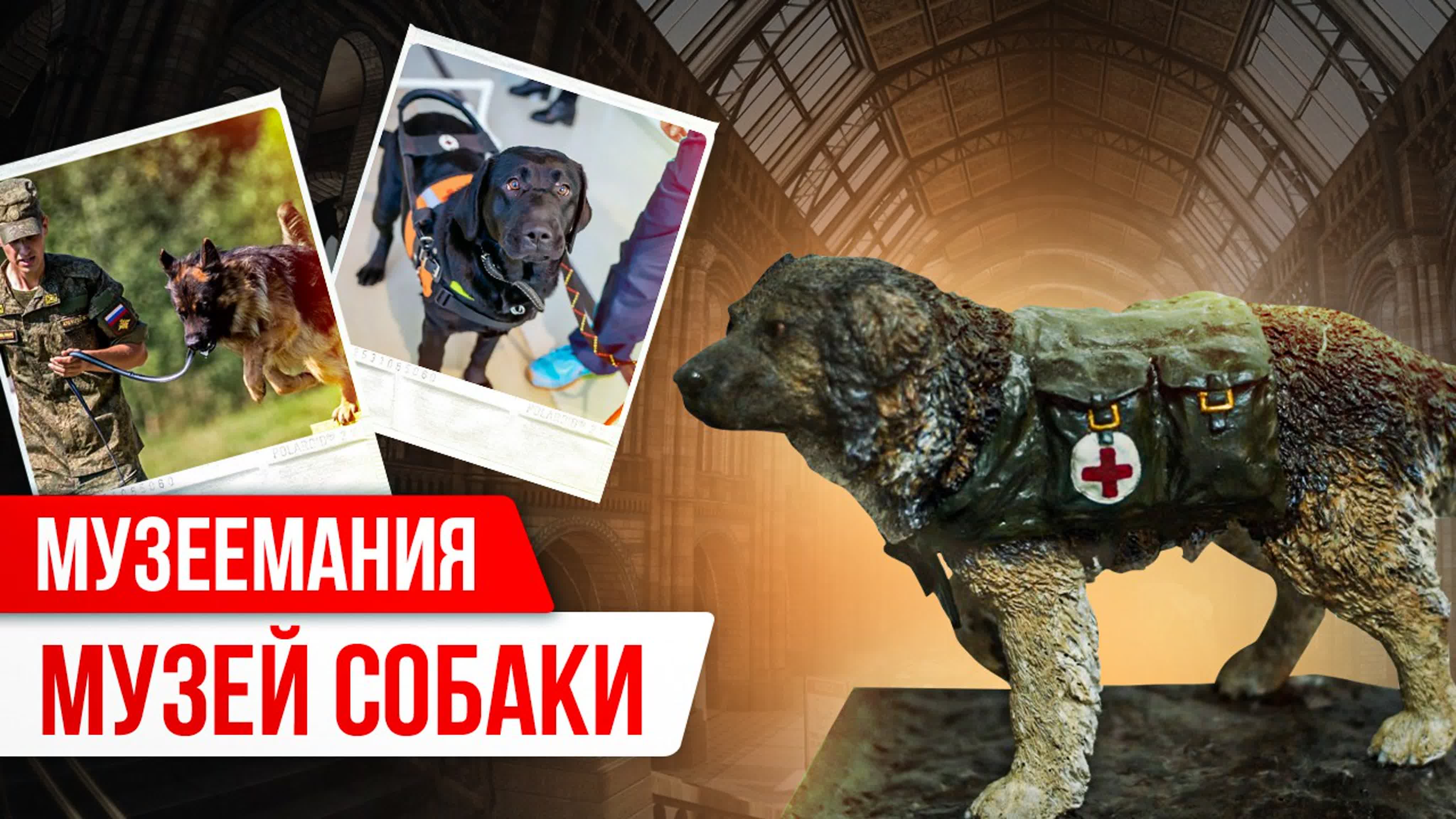 Музеемания