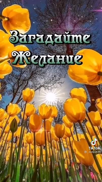 ВИДЕО 23 ФЕВРАЛЯ С ДНЁМ ЗАЩИТНИКА ОТЕЧЕСТВА ! МОИ ДРУЗЬЯ !