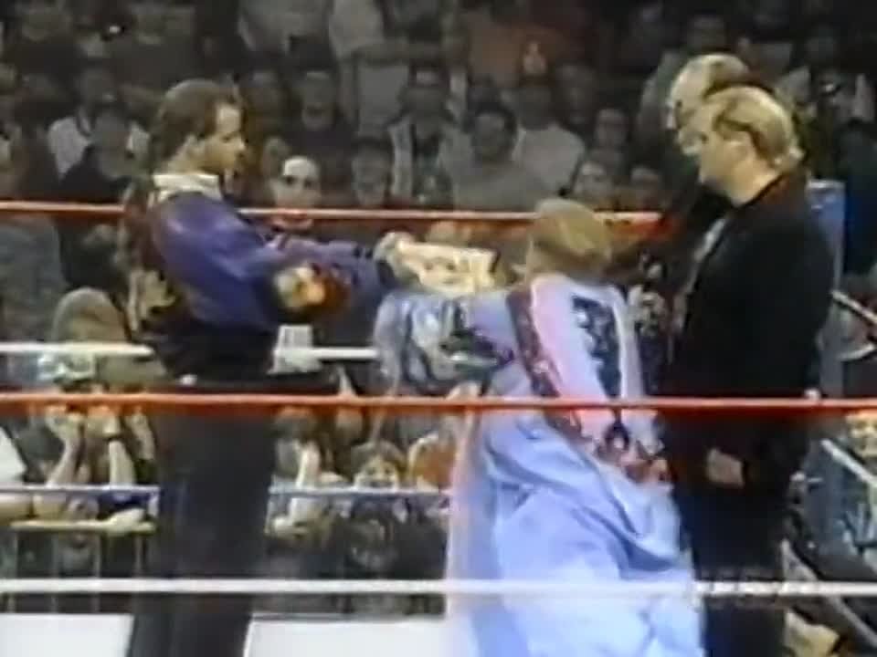 WWF RAW и PPV (1995)