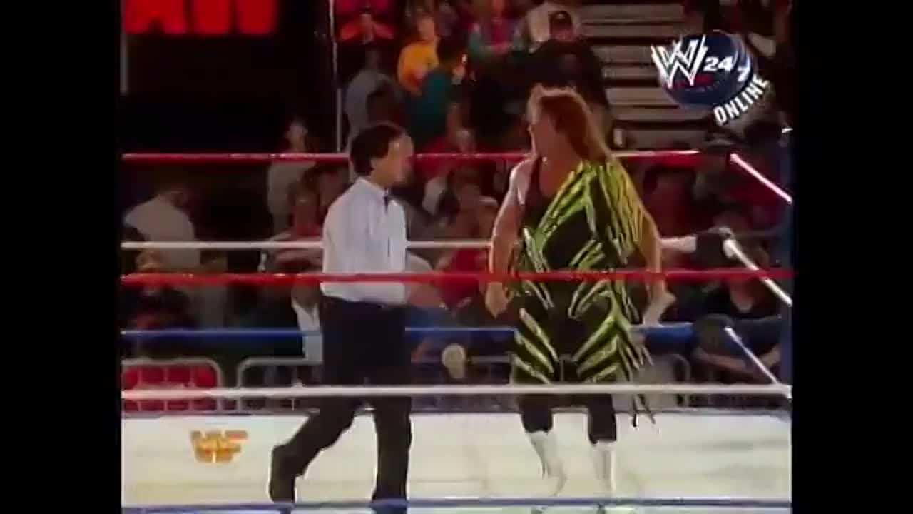 WWF RAW и PPV (1993)