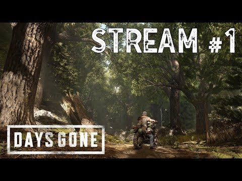 Days Gone (PS4)