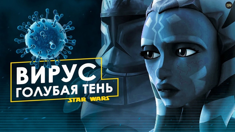 Интересные факты ЗВ
