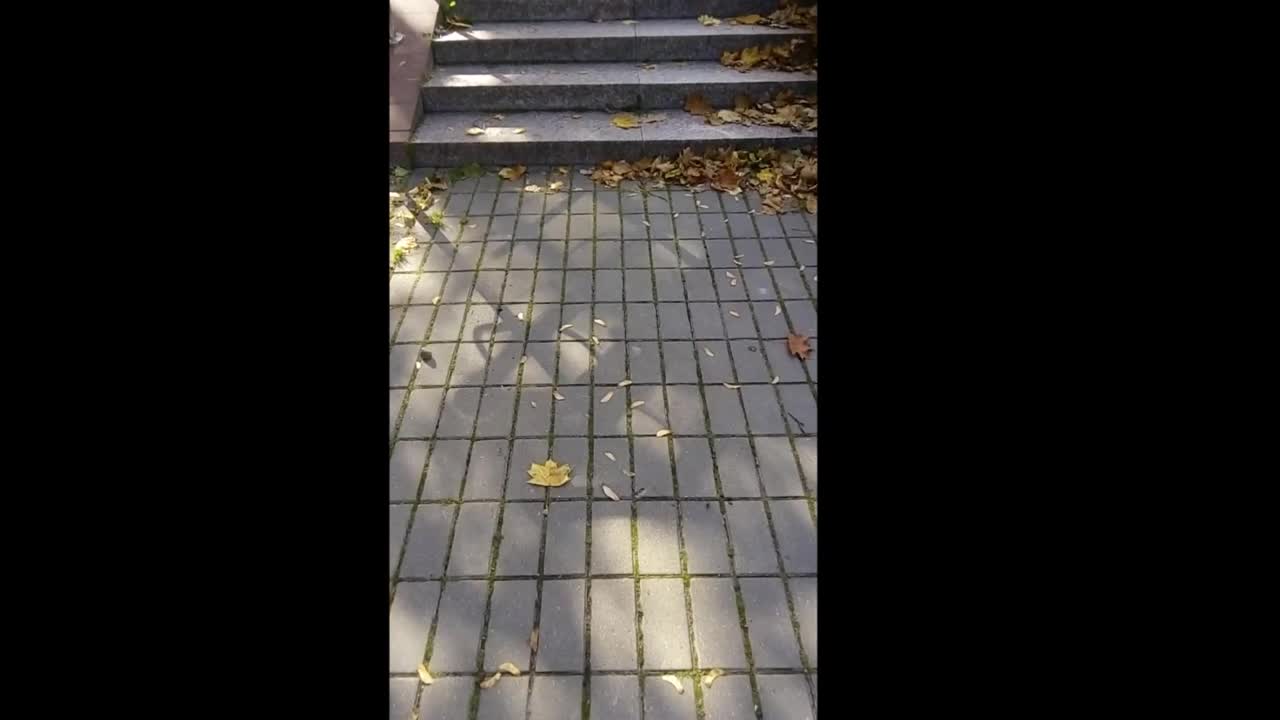 HON   ХОН