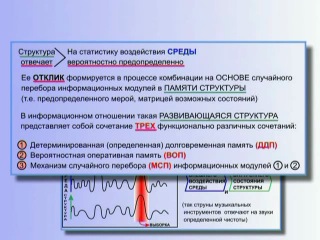 К. Петров. КОБ Мертвая вода