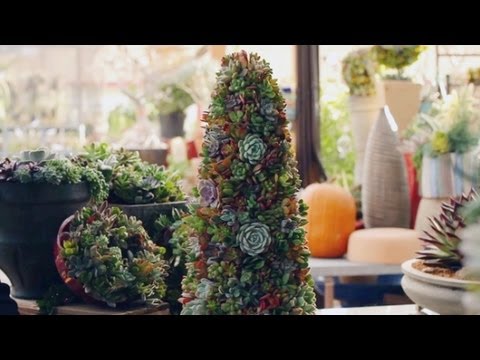 Кашпо и контейнерное озеленение