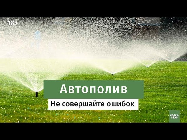 Полив