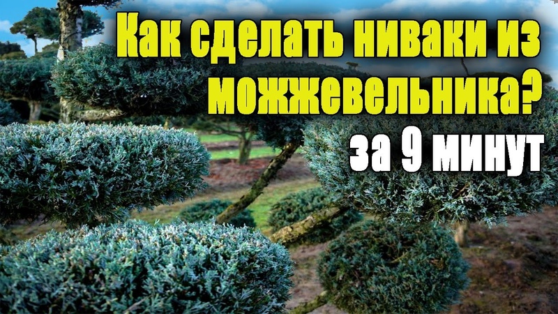 Уход за садом