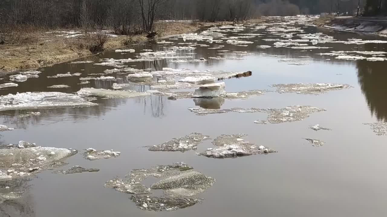 Лысьва Сегодня