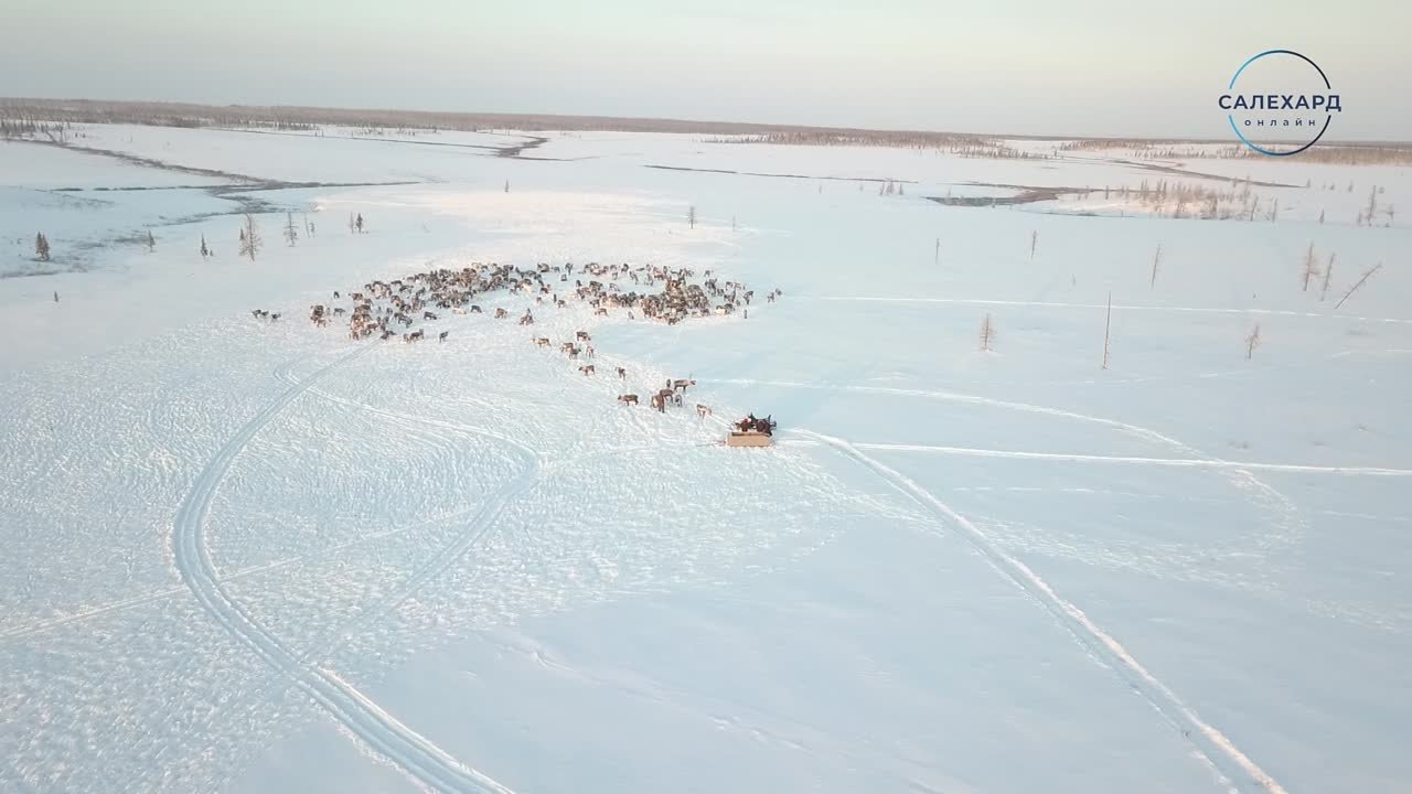 ГЛАВНАЯ ТЕМА