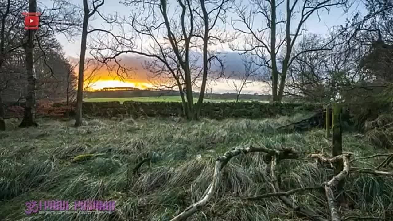 Майкл Ньютон