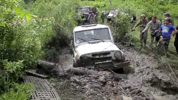 Rainforest challenge