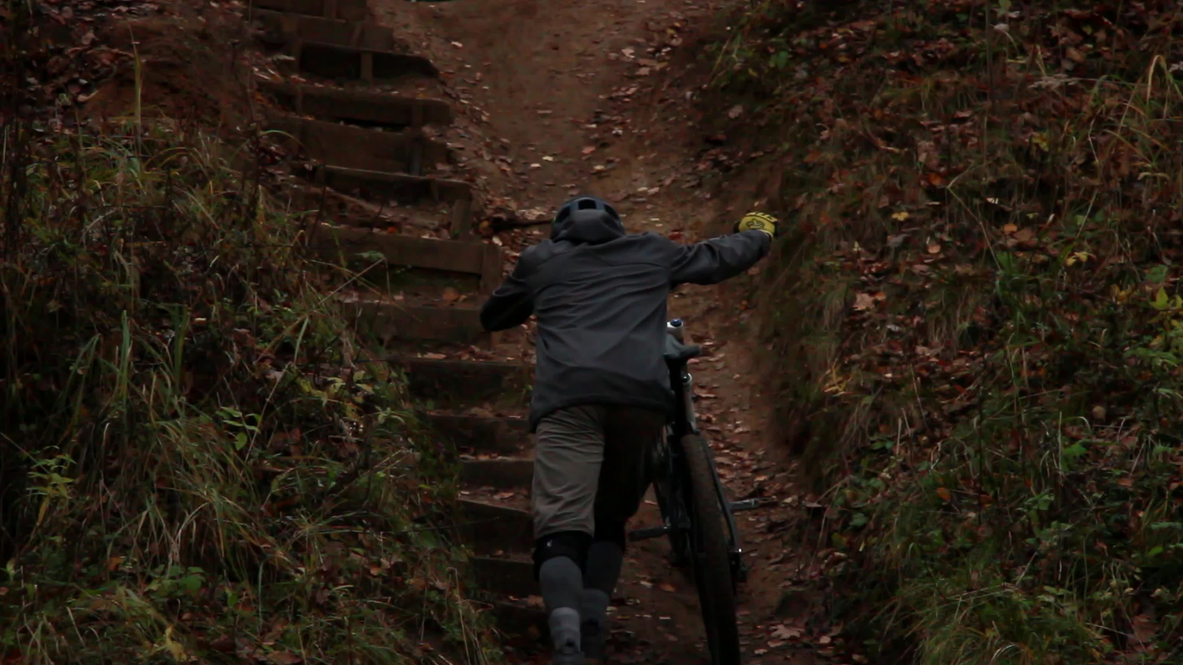 FreeRide