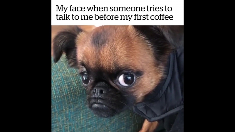 ЮМОР