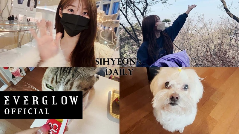 — VLOGS