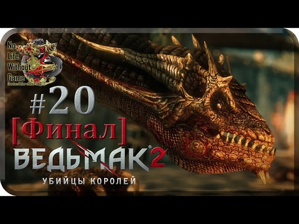 The Witcher 2:Assassins of Kings