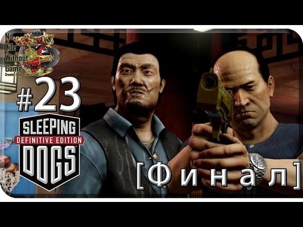 Sleeping Dogs DE