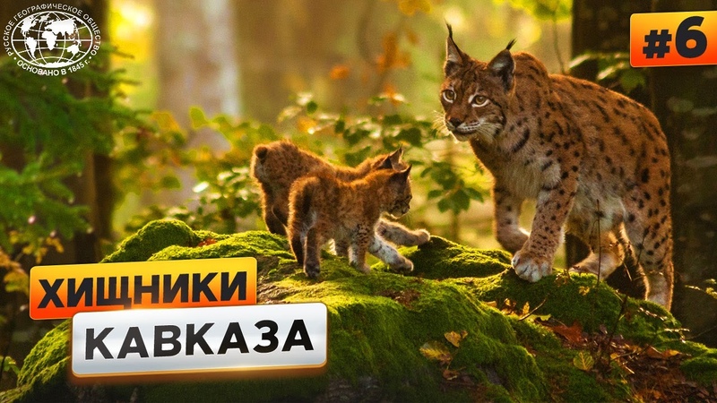 Россия