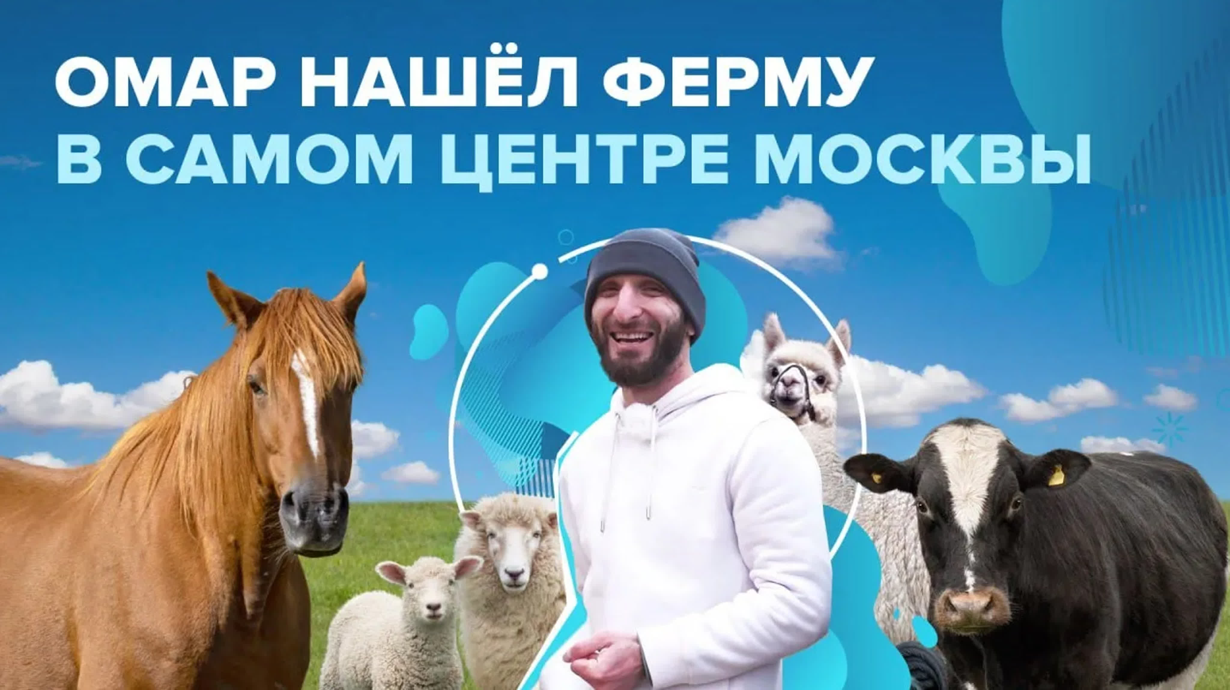 Омар в большом городе