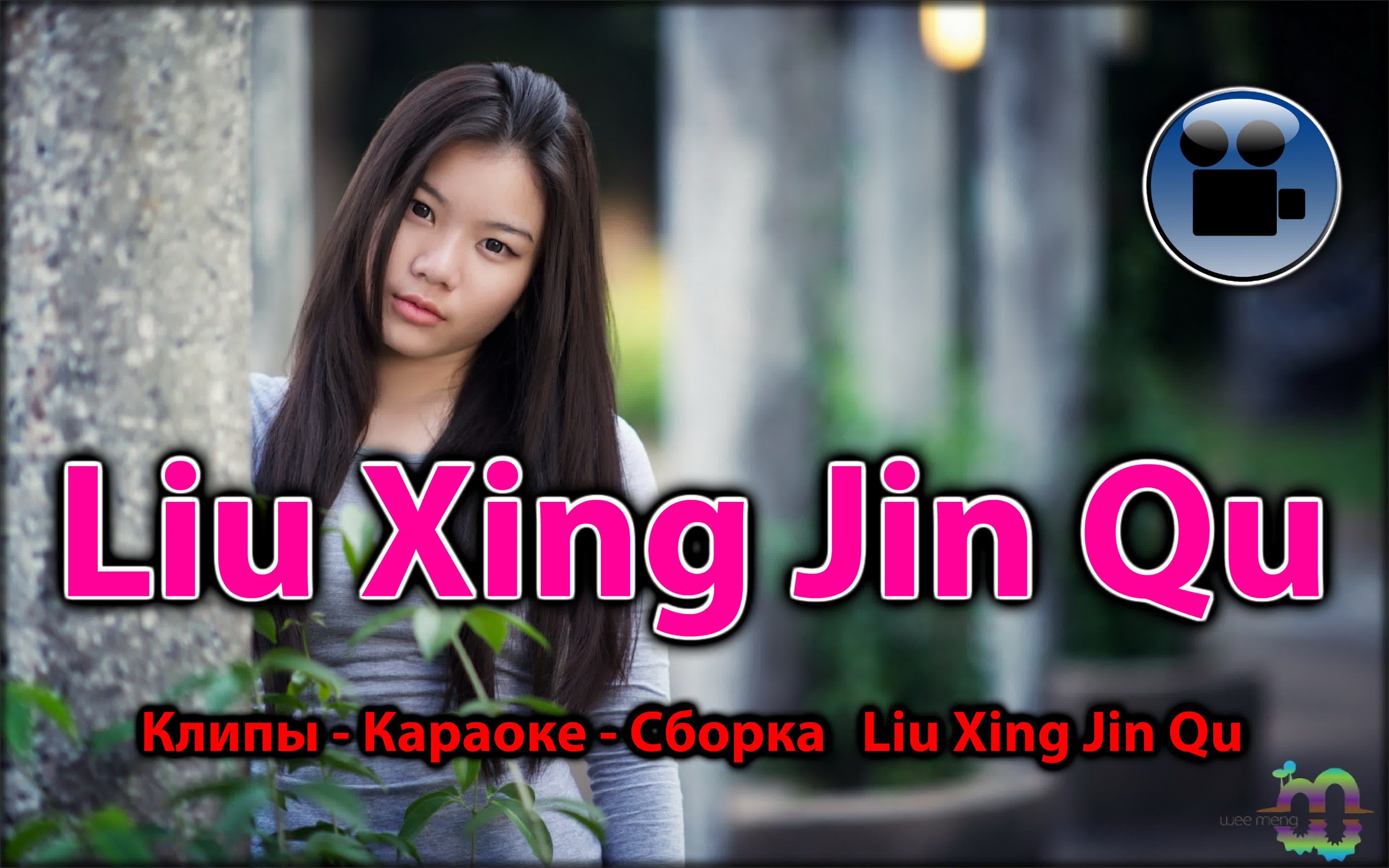 Liu Xing Jin Qu
