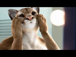 Furry