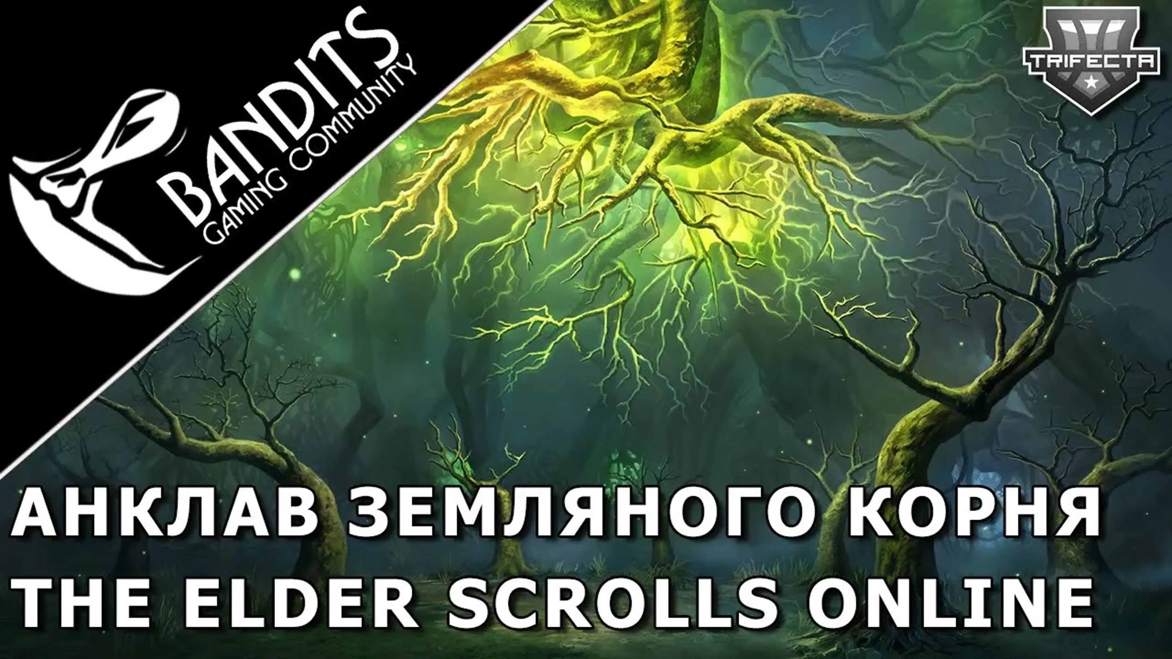 The Elder Scrolls Online