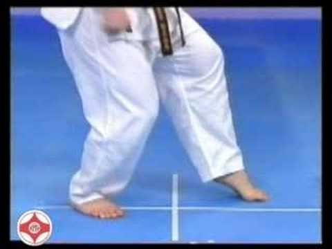 Kyokushin karate