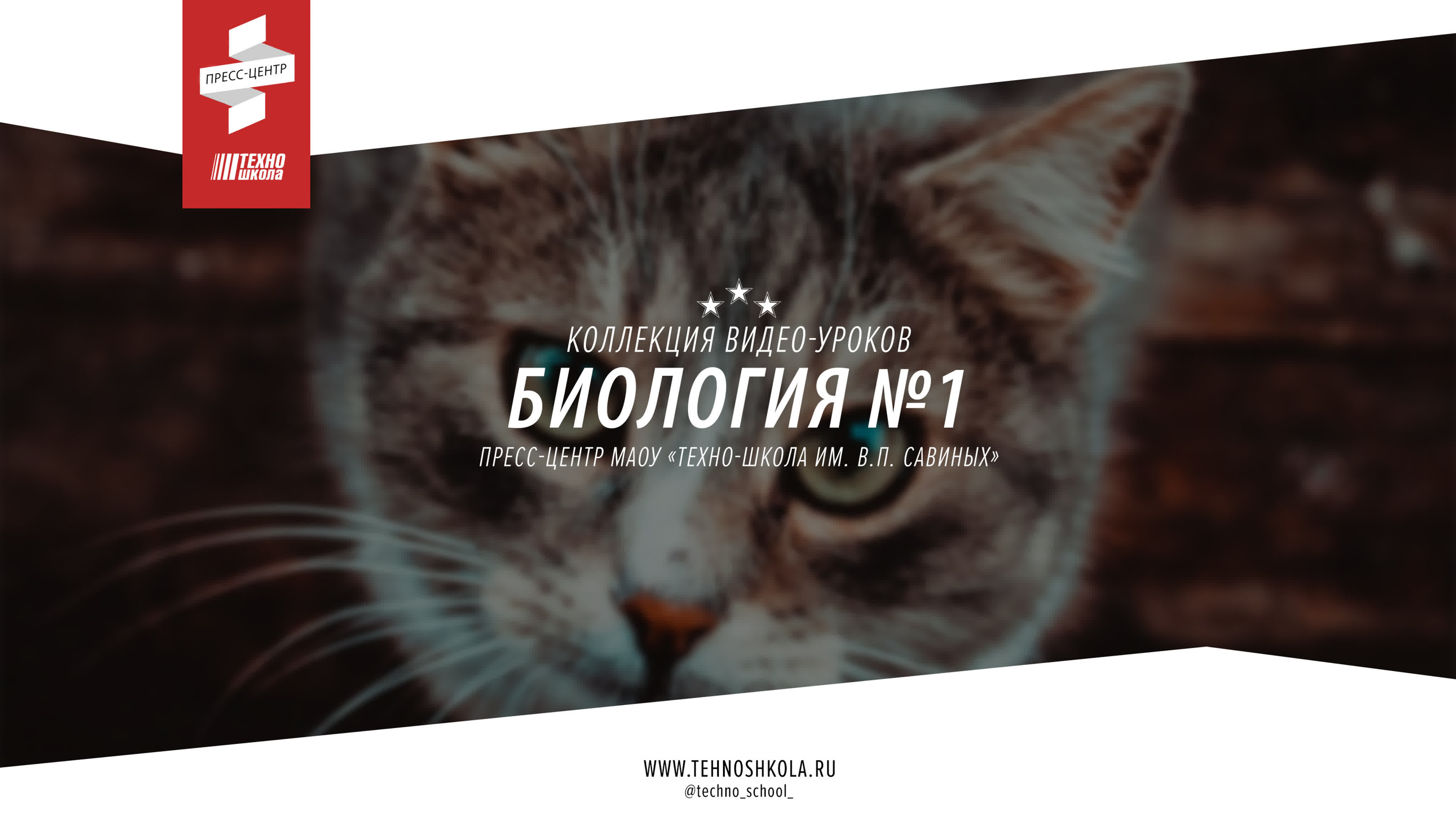 ДИСТАНЦИОННОЕ ОБУЧЕНИЕ (с 06.04.2020) БИОЛОГИЯ.