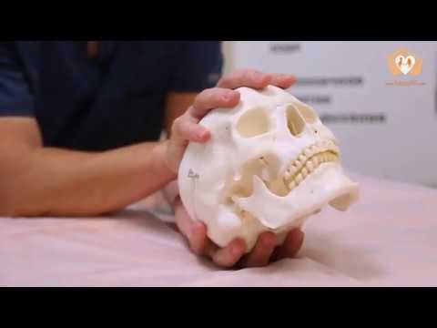 Возможности