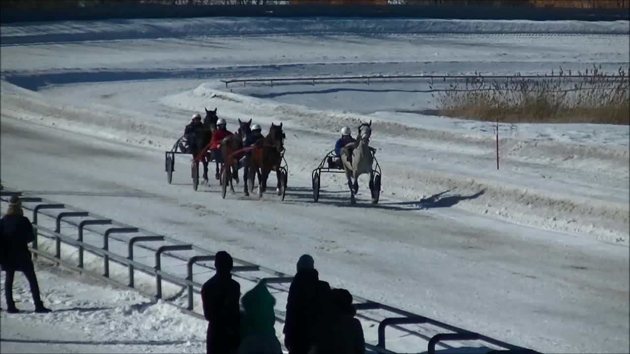 17.03.2019г. ПРИЗ В ЧЕСТЬ МЕЖДУНАРОДНОГО ЖЕНСКОГО ДНЯ 8 МАРТА, ПРИЗ В ЧЕСТЬ ЗАКРЫТИЯ ЗИМНЕГО БЕГОВОГО СЕЗОНА