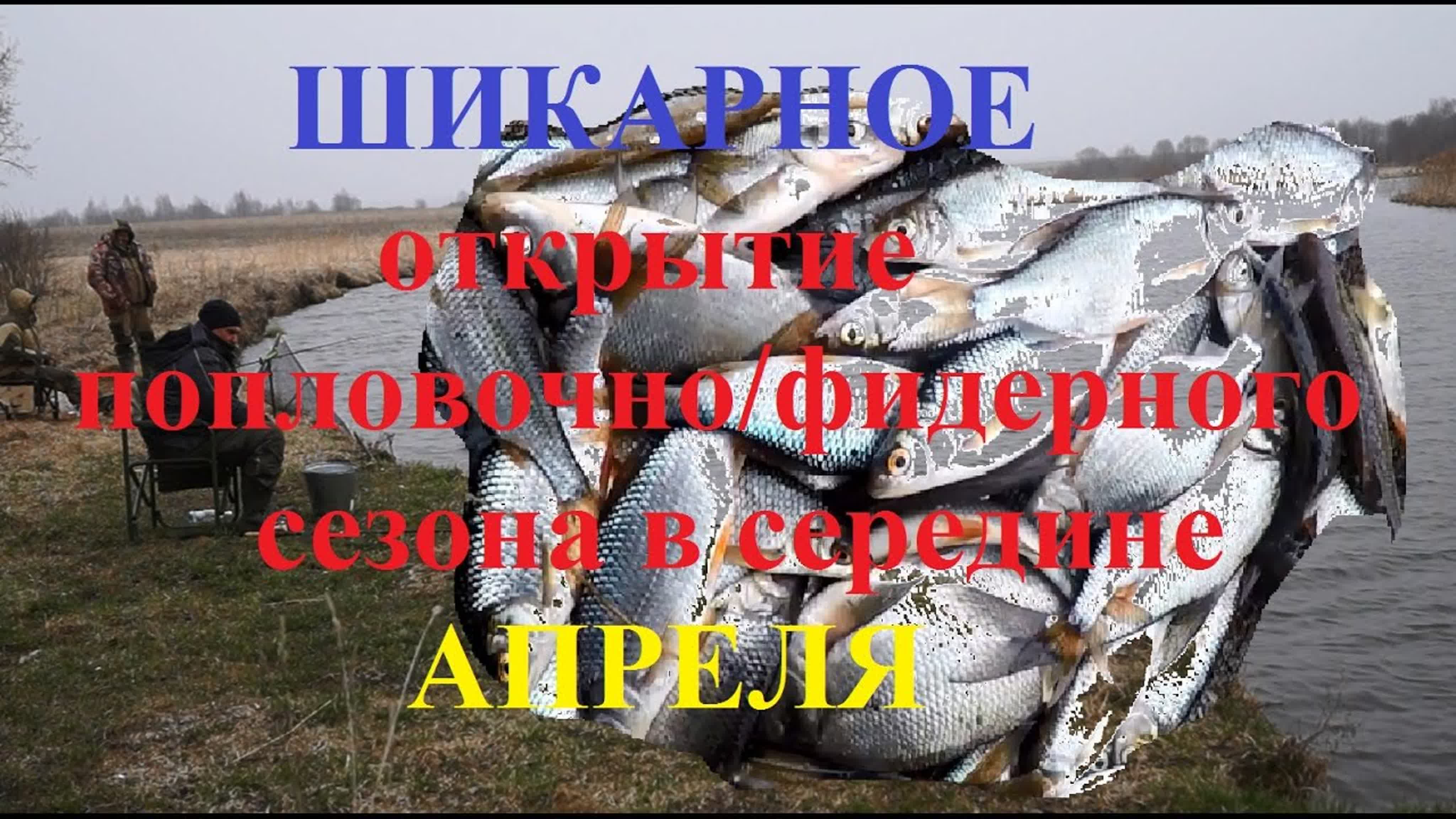 Попловочно-фидерная рыбалка