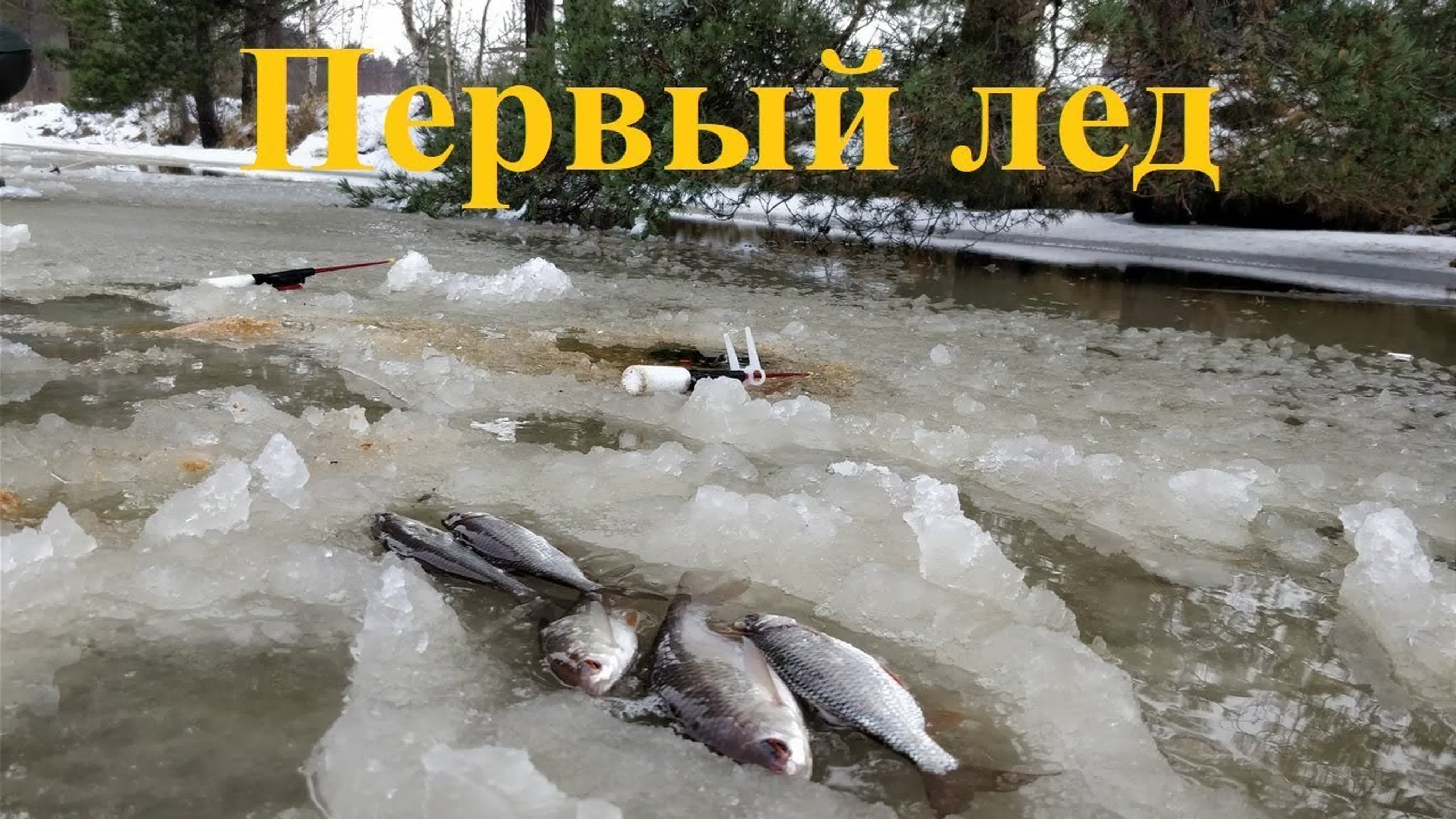Зимняя рыбалка