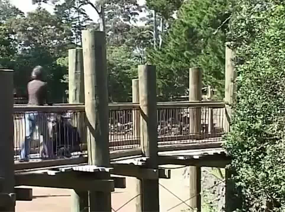 At the ZOO