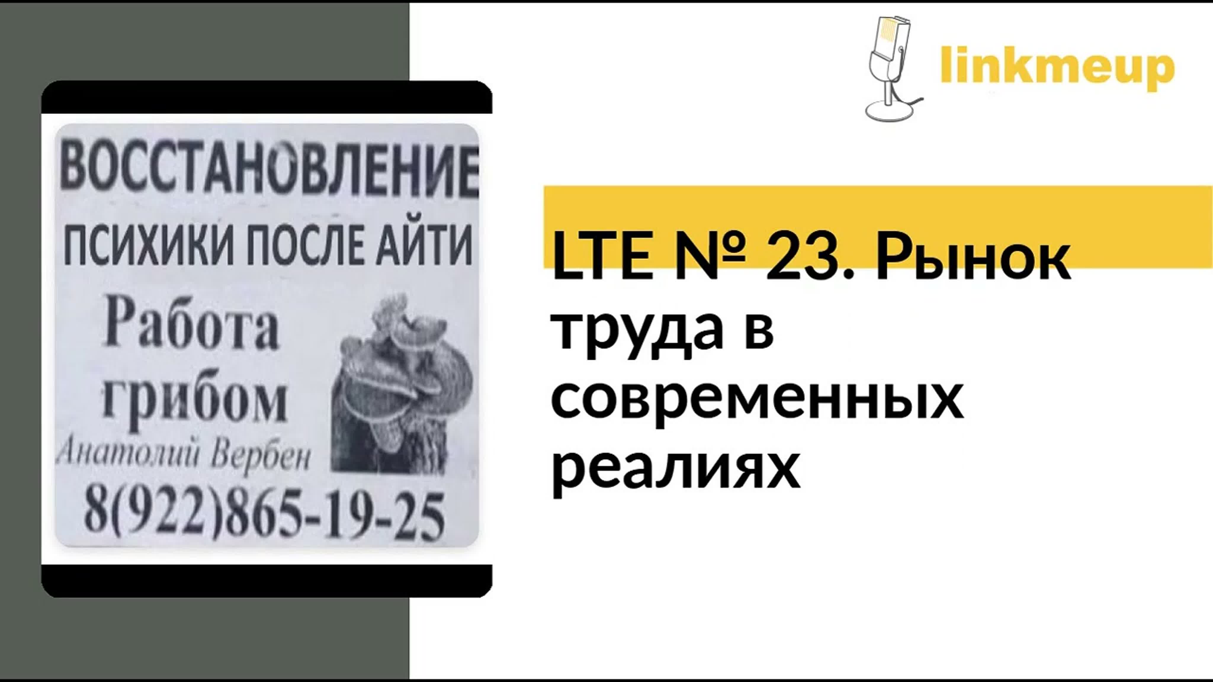 LTE (Long Talk to Expert)