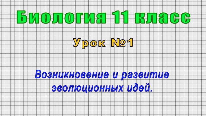 Биология 11 класс от LiameloN School