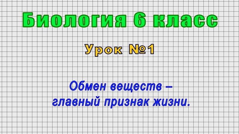 Биология 6 класс от LiameloN School