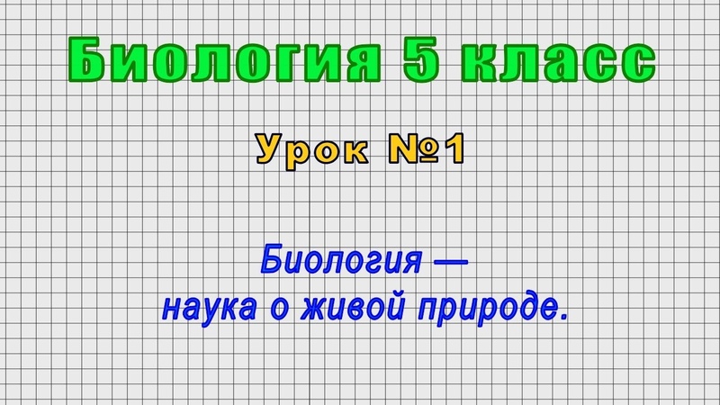 Биология 5 класс от LiameloN School