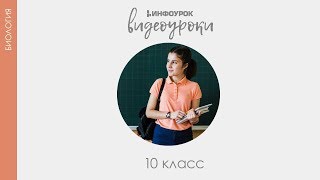 Биология 10 класс от InfoUrok.ru