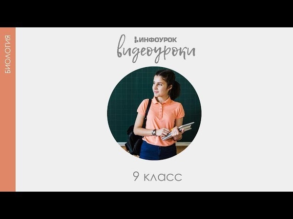 Биология 9 класс от InfoUrok.ru