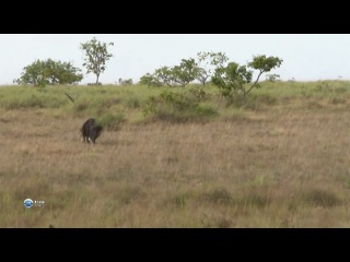 Путешествие в Гайану Expedition Guyana