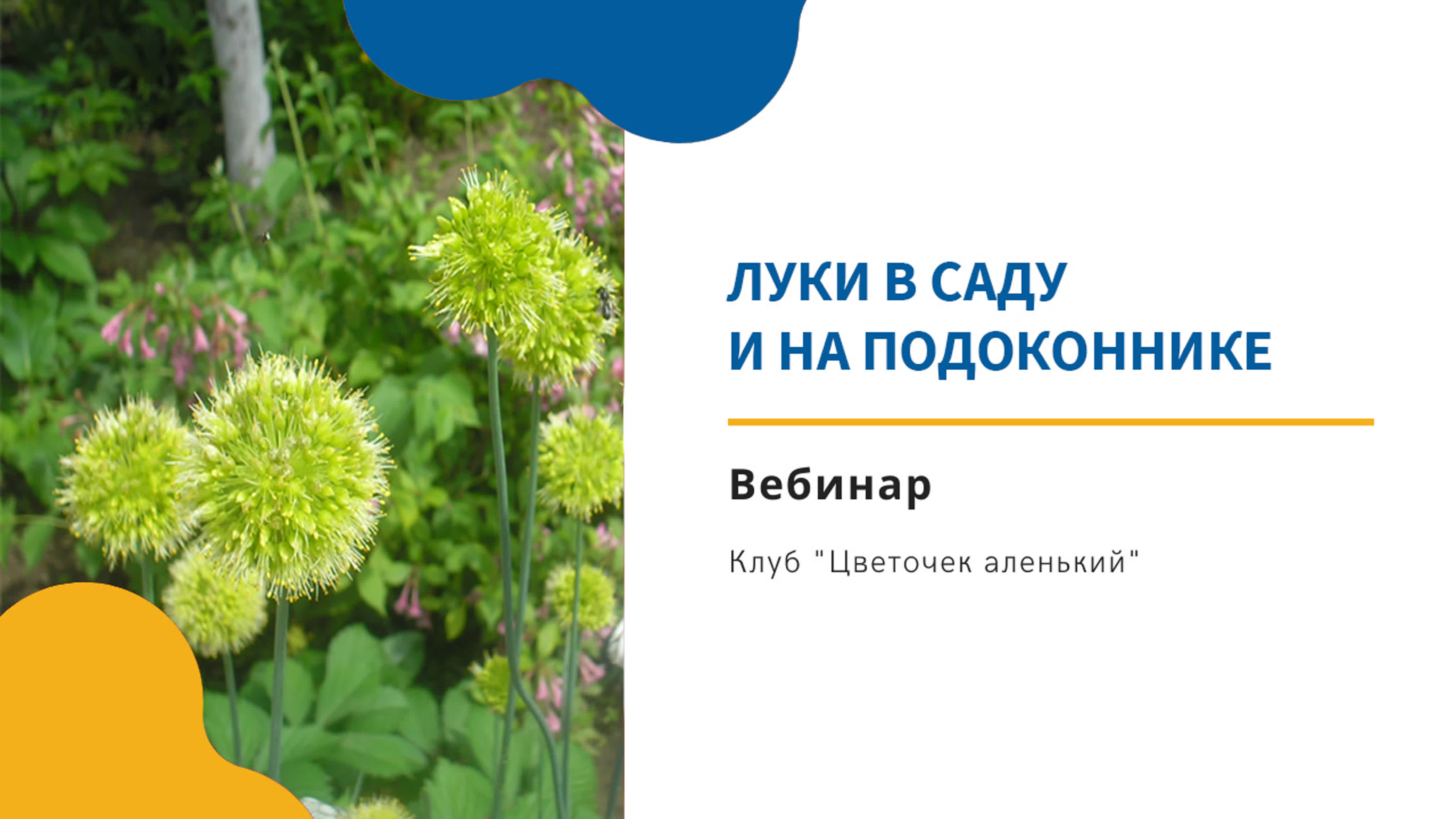 Садоводам и огородникам