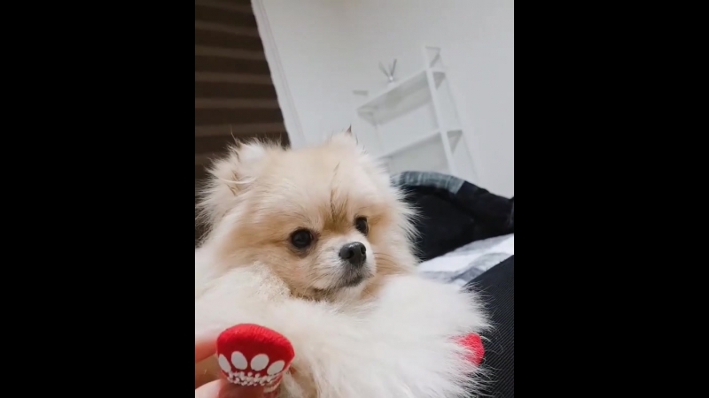 Социальные сети