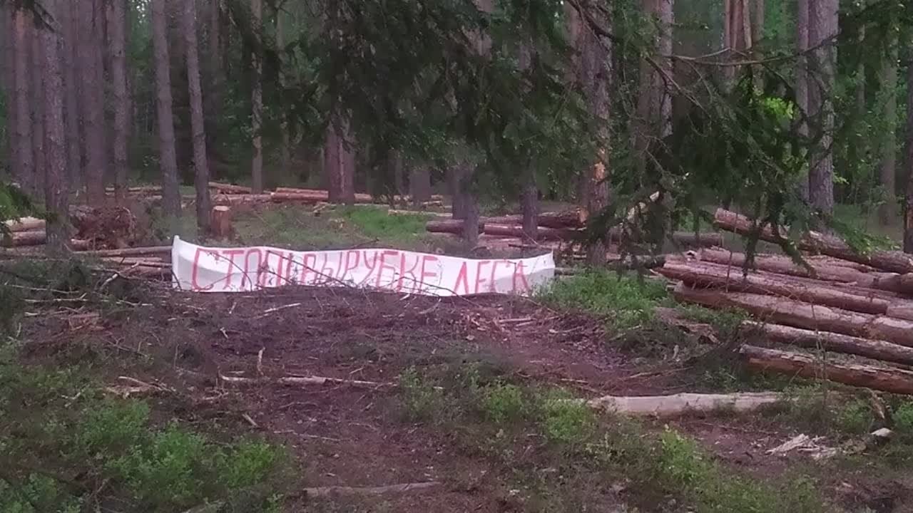Акции протеста