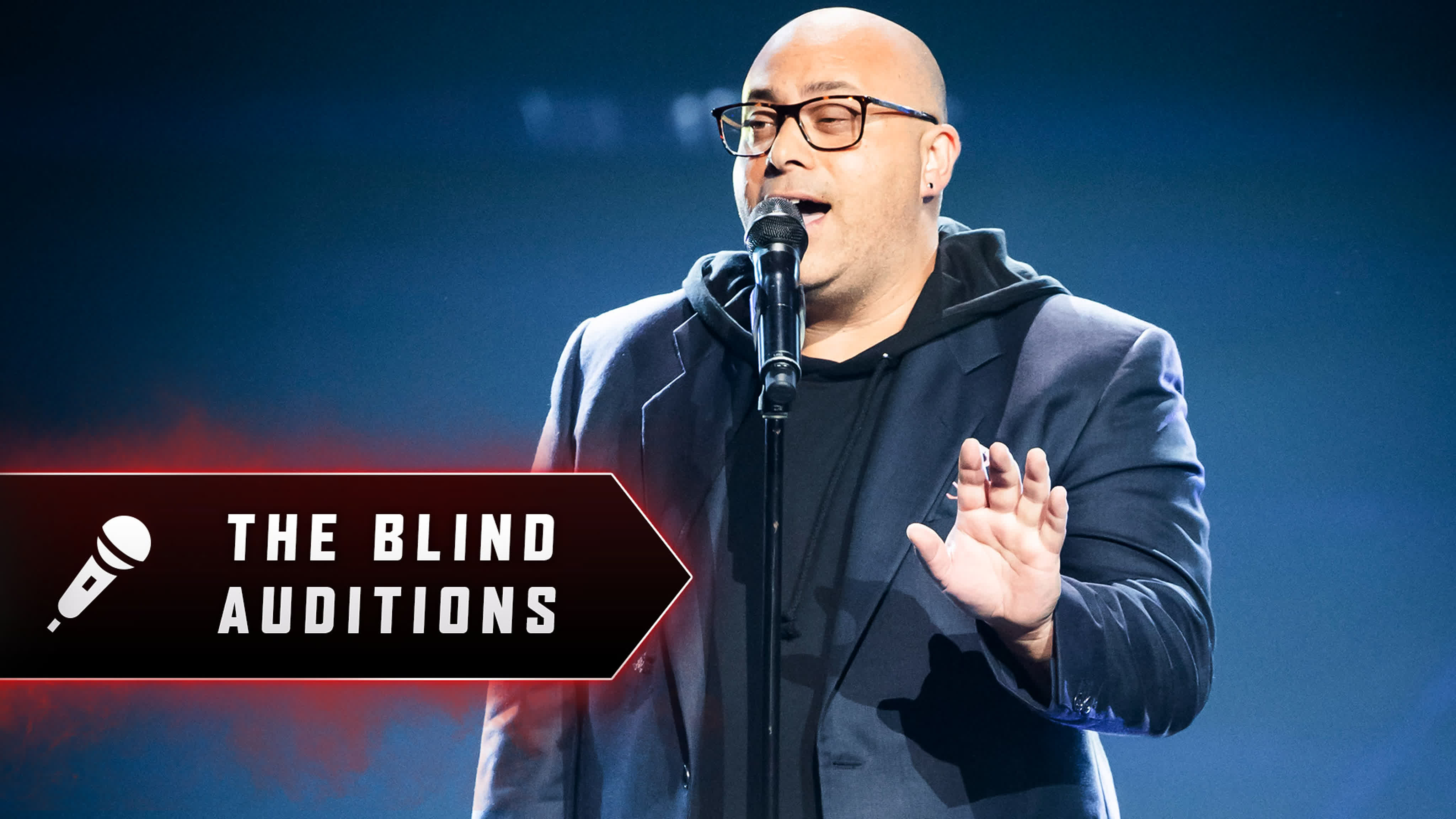 8x08: The Blind Auditions 8