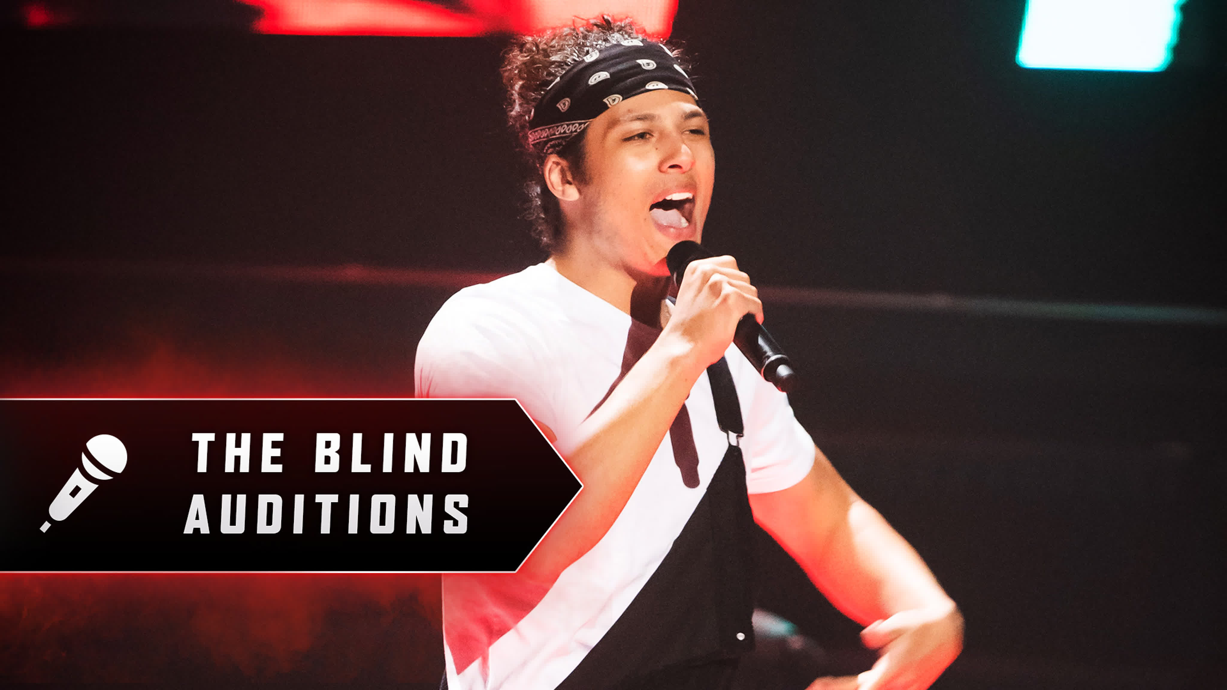 8x04: The Blind Auditions 4