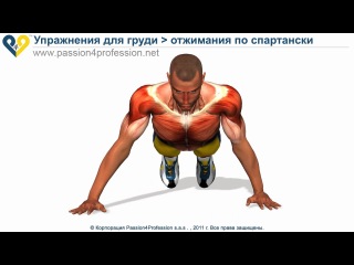 спорт