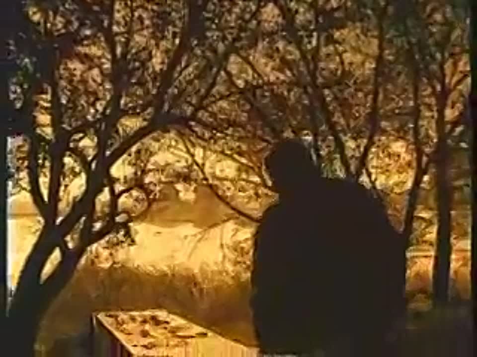 УКРАЇНСЬКА МУЗИКА