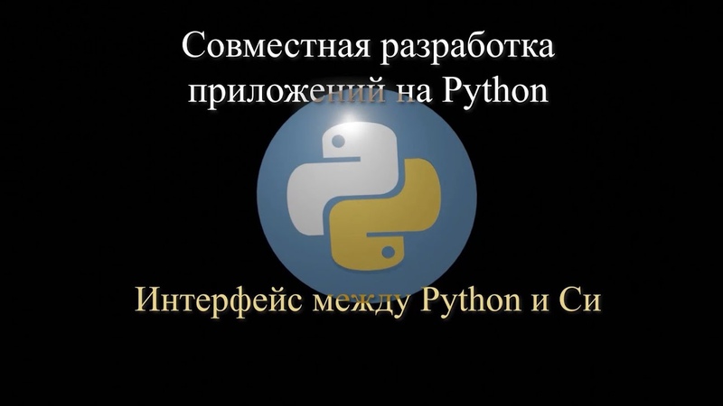 Совместная разработка на Python (2023)