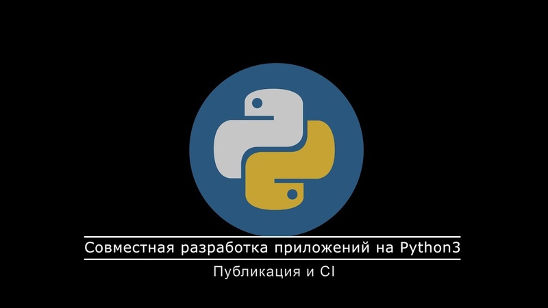 Совместная разработка на Python (Весна 2021)